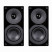 System Audio Saxo 1